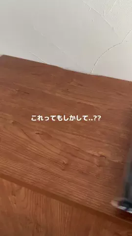 ｳﾆ。のTikTok投稿