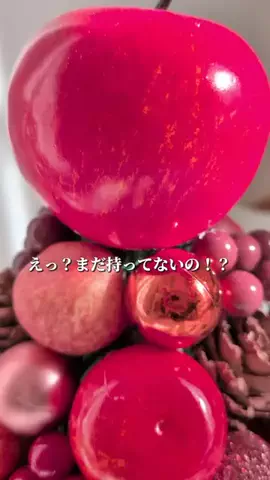 shin♡yumi再婚夫婦のTikTok投稿