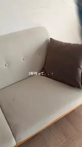 ｳﾆ。のTikTok投稿
