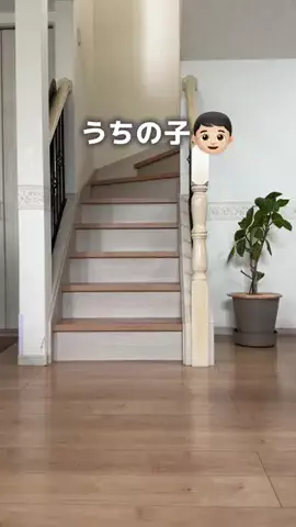 suu_kurashiのTikTok投稿