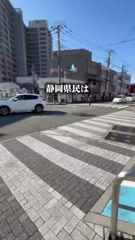 静岡グルメ／SHIZUOKA SELECTのTikTok投稿