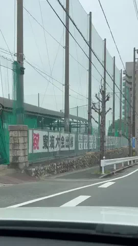 さくらグルメのTikTok投稿