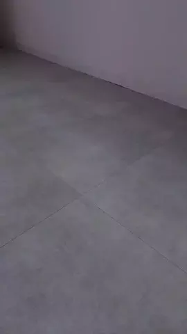 どらのTikTok投稿