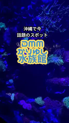おっきー 🍍沖縄人のTikTok投稿