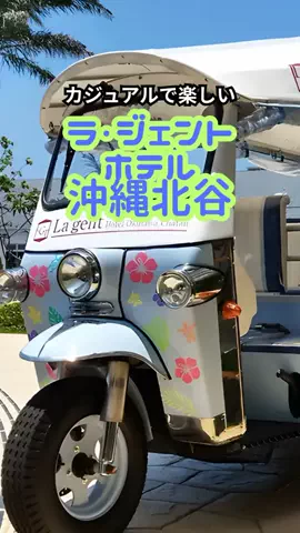おっきー 🍍沖縄人のTikTok投稿