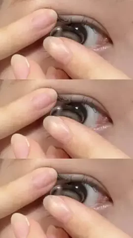🐻のTikTok投稿