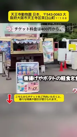 Tiếng Nhật DaisukiのTikTok投稿