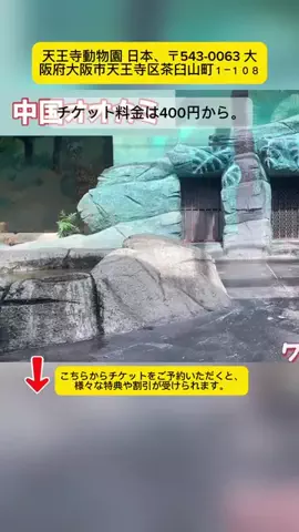 Tiếng Nhật DaisukiのTikTok投稿