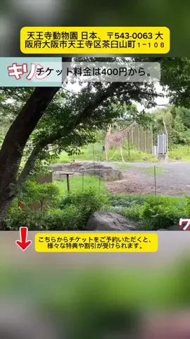 Tiếng Nhật DaisukiのTikTok投稿