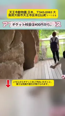 Tiếng Nhật DaisukiのTikTok投稿