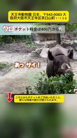 Tiếng Nhật DaisukiのTikTok投稿
