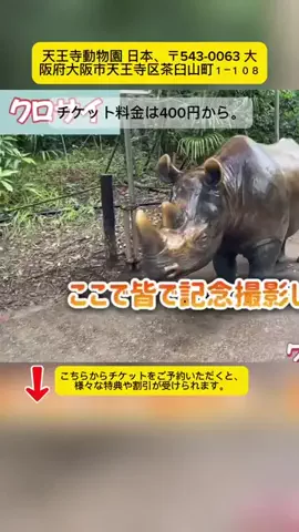 Tiếng Nhật DaisukiのTikTok投稿