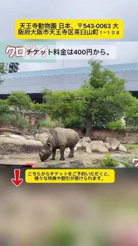 Tiếng Nhật DaisukiのTikTok投稿