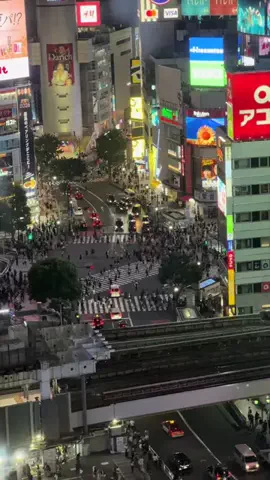 旅するtakkiのTikTok投稿