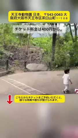 Tiếng Nhật DaisukiのTikTok投稿