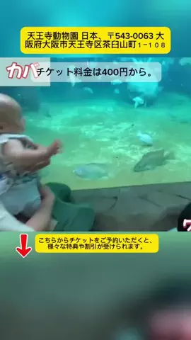 Tiếng Nhật DaisukiのTikTok投稿