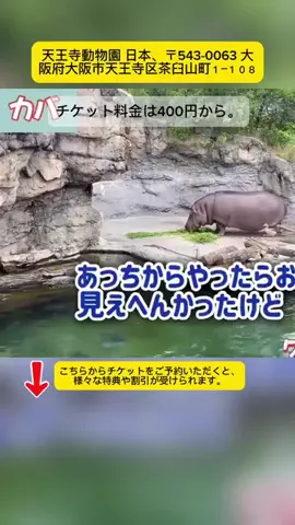 Tiếng Nhật DaisukiのTikTok投稿