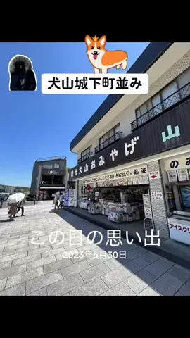 Skydaruma(ダルちゃん)のTikTok投稿