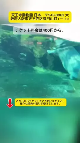 Tiếng Nhật DaisukiのTikTok投稿
