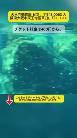 Tiếng Nhật DaisukiのTikTok投稿