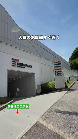 puchi_maoのTikTok投稿