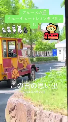 Skydaruma(ダルちゃん)のTikTok投稿