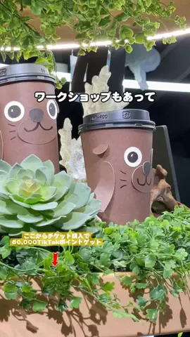 puchi_maoのTikTok投稿