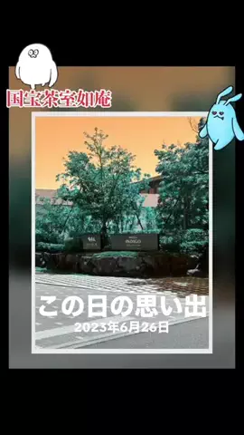 Skydaruma(ダルちゃん)のTikTok投稿