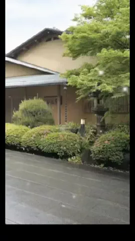Skydaruma(ダルちゃん)のTikTok投稿
