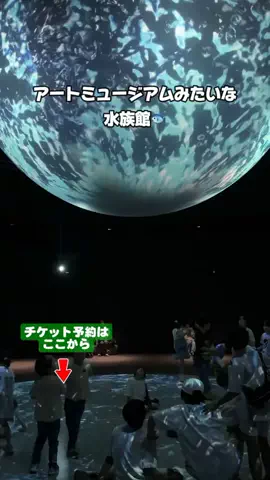 puchi_maoのTikTok投稿