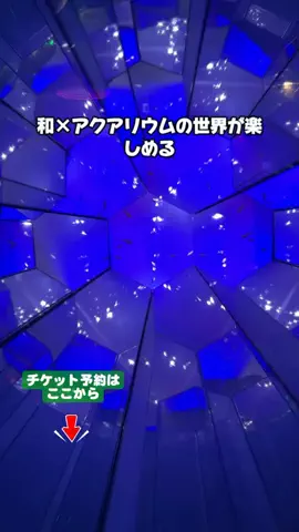 puchi_maoのTikTok投稿