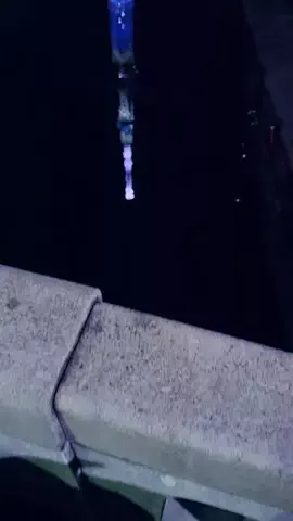 ◢ ◤ペニーラガン👀🎈◢ ◤のTikTok投稿