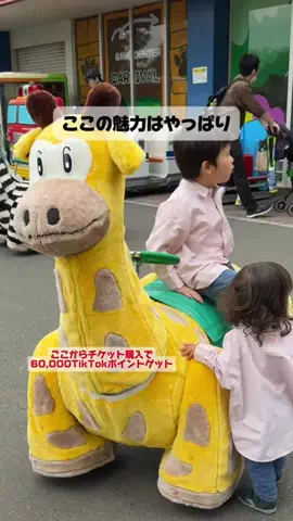 puchi_maoのTikTok投稿