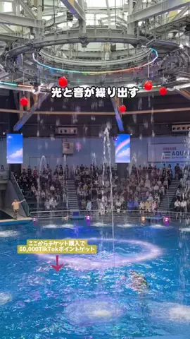 puchi_maoのTikTok投稿