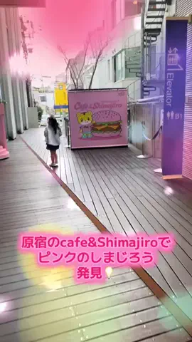 あすちーず🌸🧀のTikTok投稿