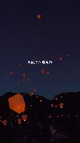 まりりん【関西ママ】子連れアウトドア×穴場スポットのTikTok投稿