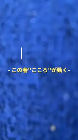 ultrabra1n/メンズカジュアルのTikTok投稿