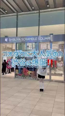 オタクしかいない会社 𝑶𝑺𝑯𝑰𝑪𝑶𝑪𝑶୨୧のTikTok投稿
