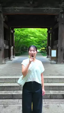 tabibiyoriのTikTok投稿