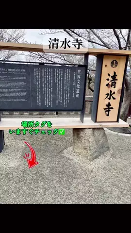 すずめのTikTok投稿