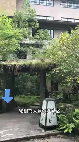 ホテル紹介🍓のTikTok投稿