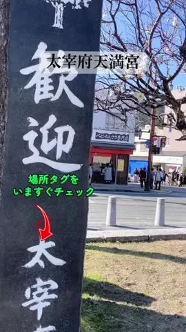 すずめのTikTok投稿