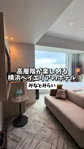 日本グルメのTikTok投稿