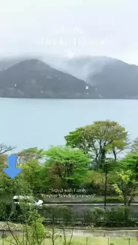 ホテル紹介🍓のTikTok投稿