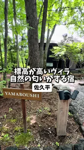 日本グルメのTikTok投稿