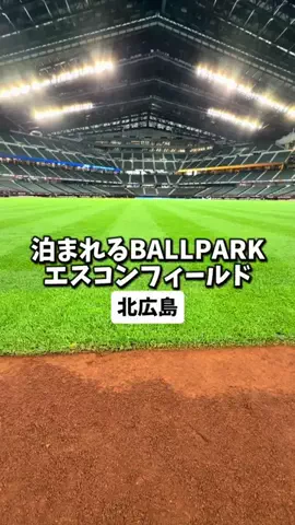 日本グルメのTikTok投稿