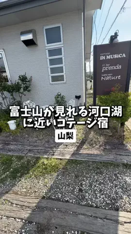 日本グルメのTikTok投稿