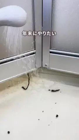 まめ｜私らしく整う暮らしのTikTok投稿