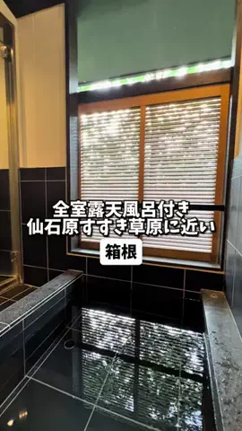 日本グルメのTikTok投稿
