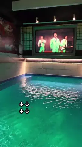 トアンもん　チャンネルのTikTok投稿